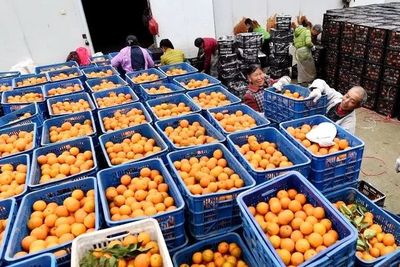 農村消費升級與渠道下沉加速下的農產品零售物流新考驗