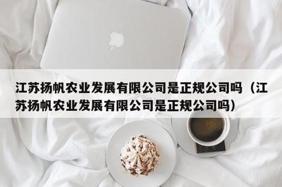 江蘇揚帆服飾 深耕針紡織品領(lǐng)域的專業(yè)供應(yīng)商
